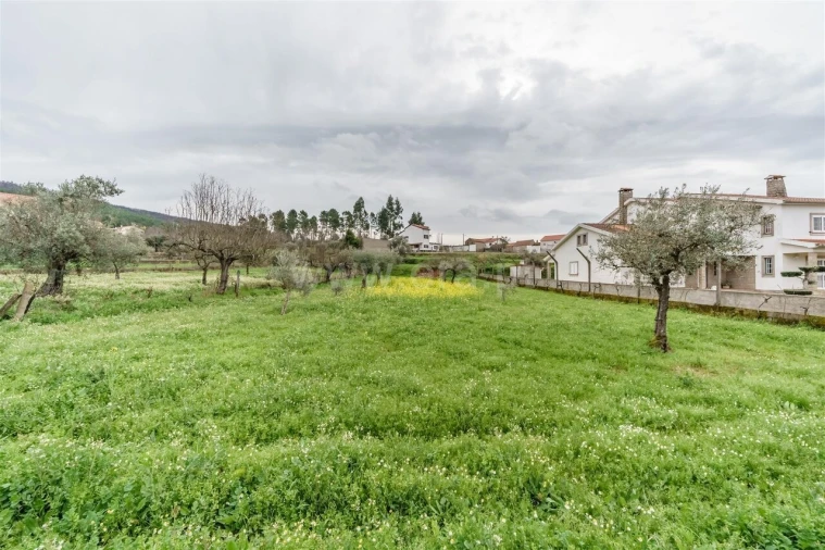 Terreno para Venda em Paul Foto 10