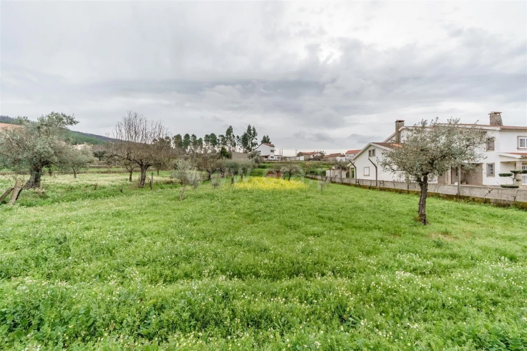 Terreno para Venda em Paul Foto 10