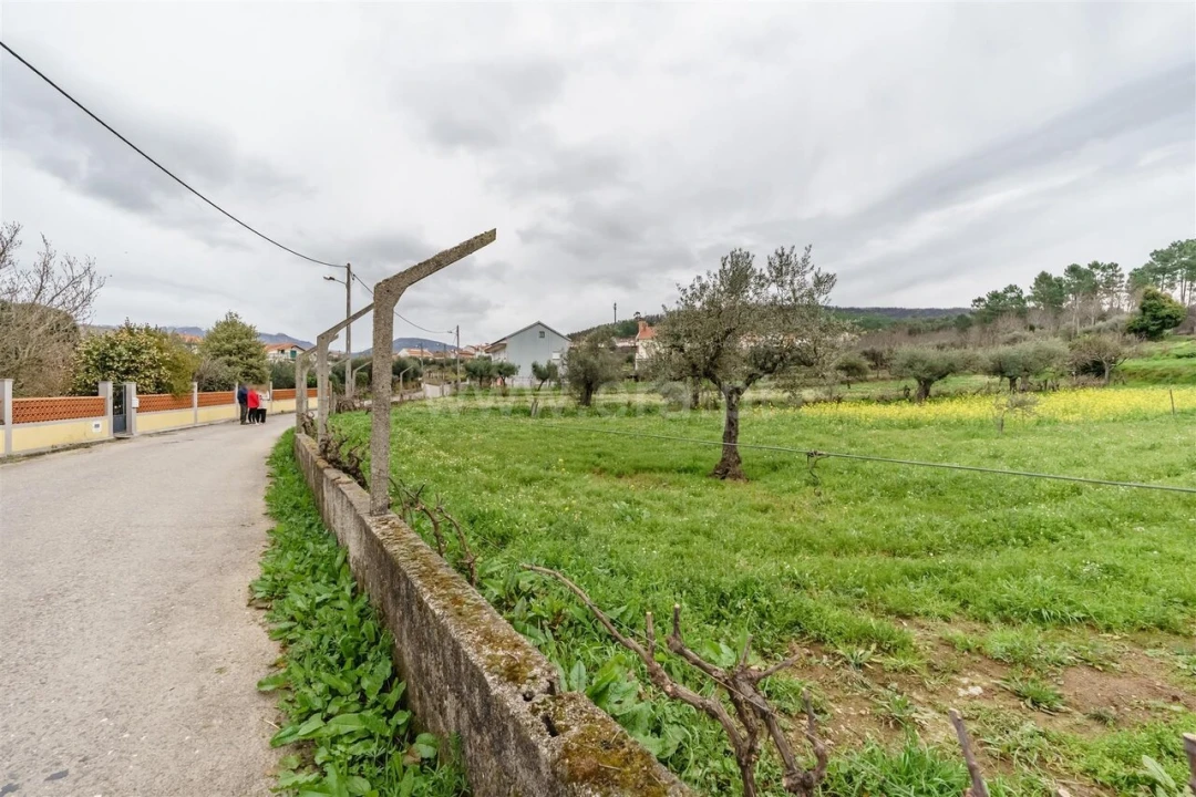 Terreno para Venda em Paul Foto 11