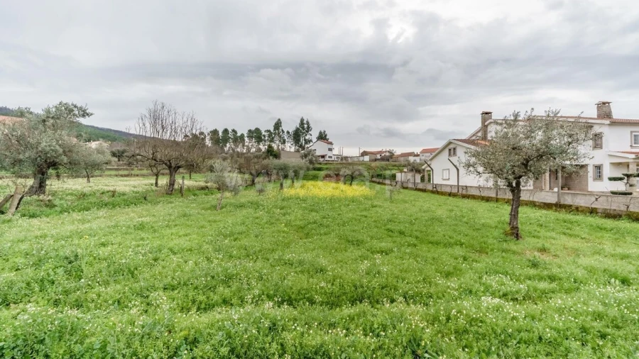 Terreno para Venda em Paul