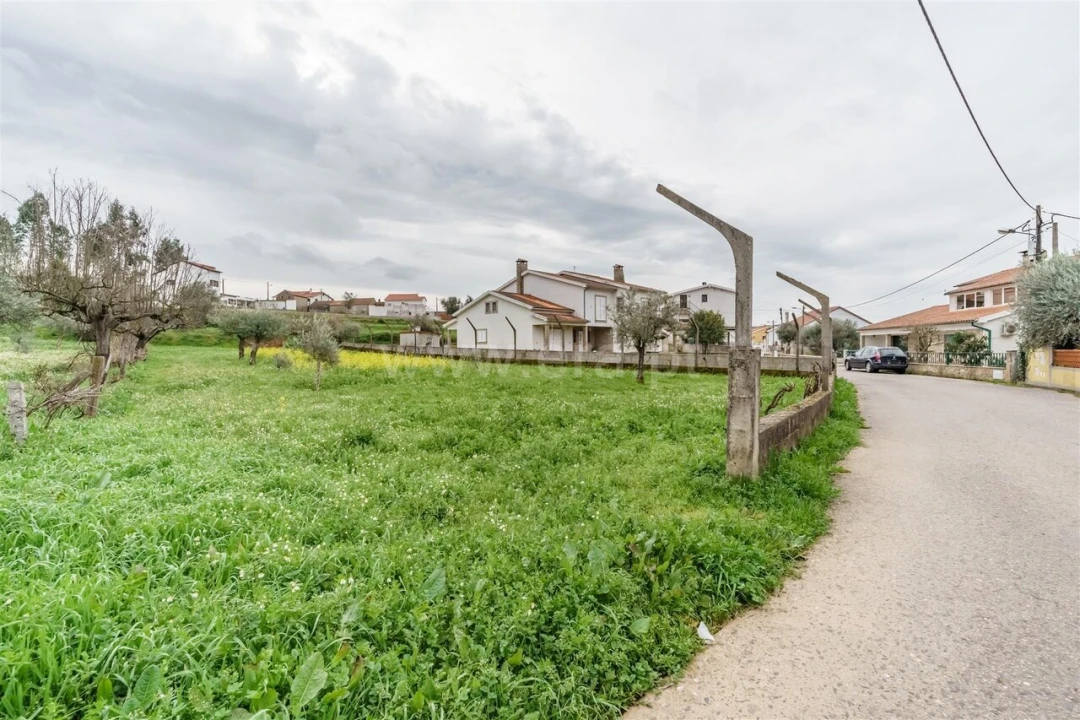 Terreno para Venda em Paul Foto 9