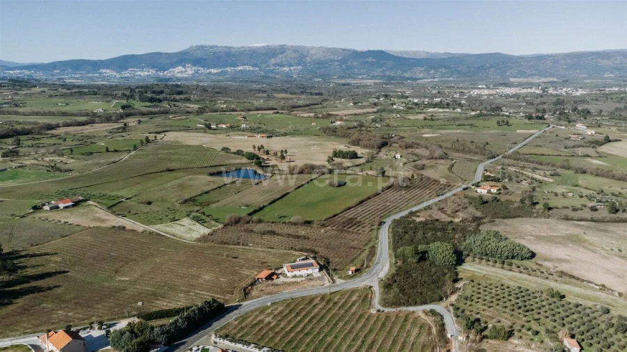 Terreno para Venda em Caria Foto 4