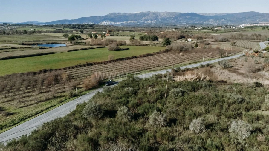 Terreno para Venda em Caria Foto 12