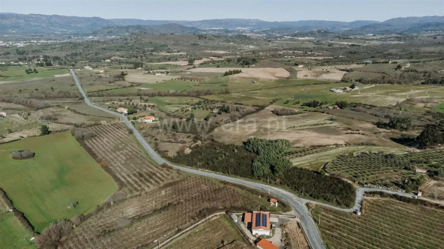 Terreno para Venda em Caria Foto 3