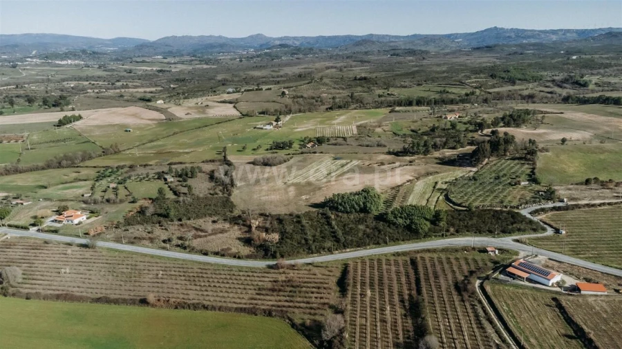 Terreno para Venda em Caria Foto 2