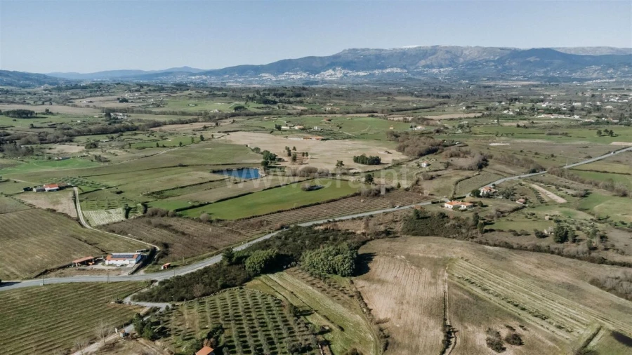 Terreno para Venda em Caria Foto 6