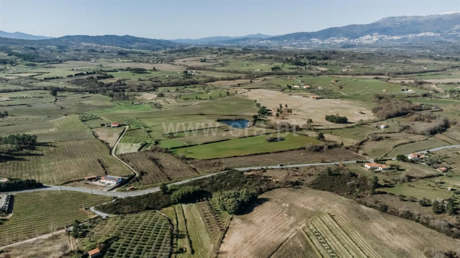 Terreno para Venda em Caria Foto 7