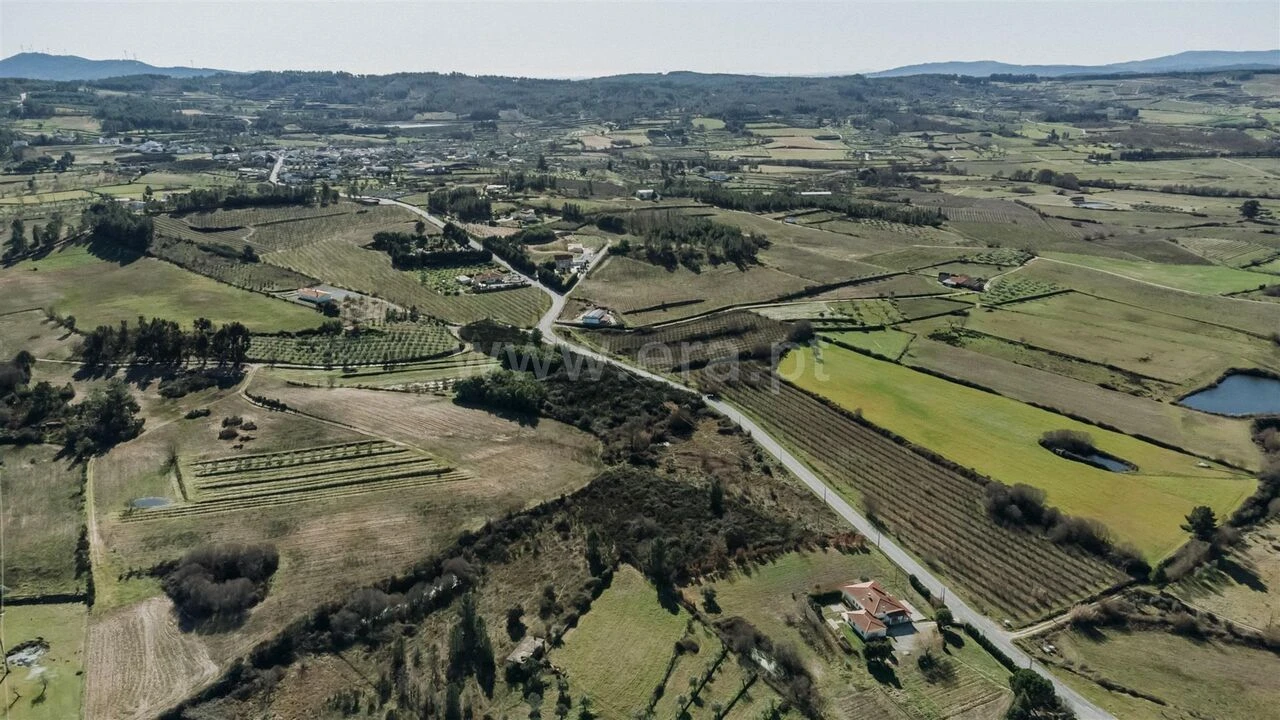 Terreno para Venda em Caria Foto 9