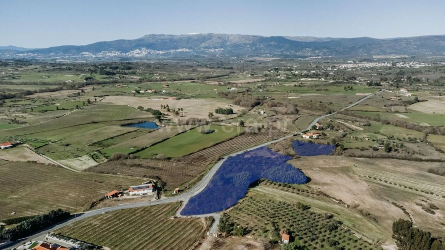 Terreno para Venda em Caria