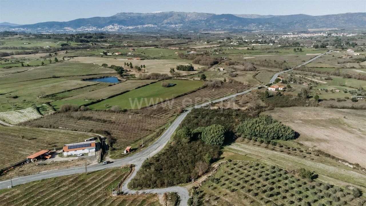 Terreno para Venda em Caria Foto 10