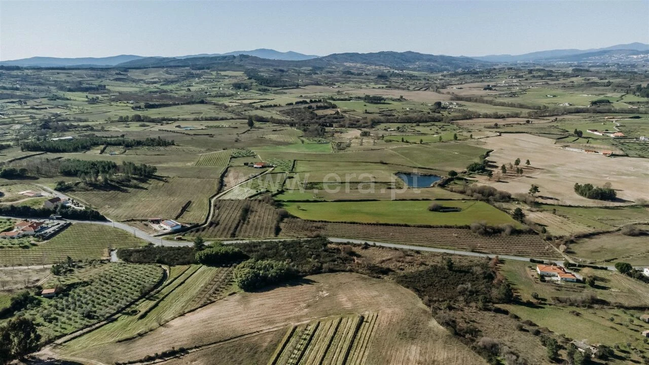 Terreno para Venda em Caria Foto 8