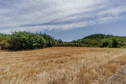 Terreno para Venda em Inguias