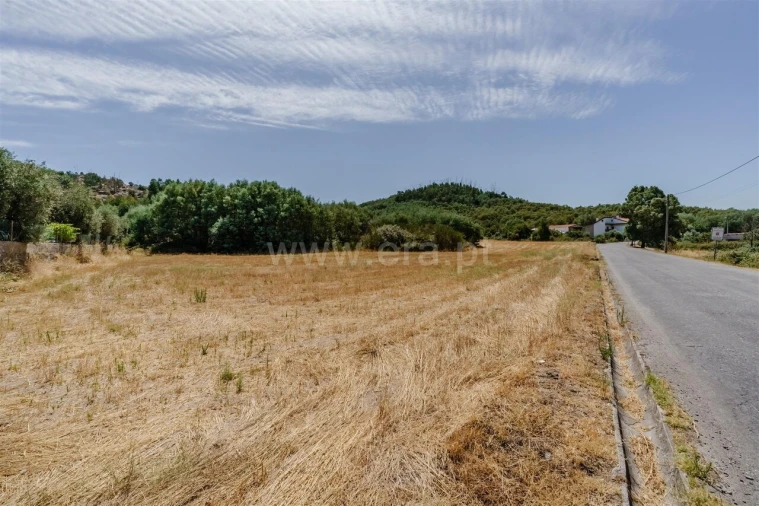 Terreno para Venda em Inguias Foto 11