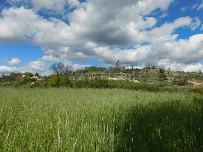 Terreno para Venda em Inguias Foto 6