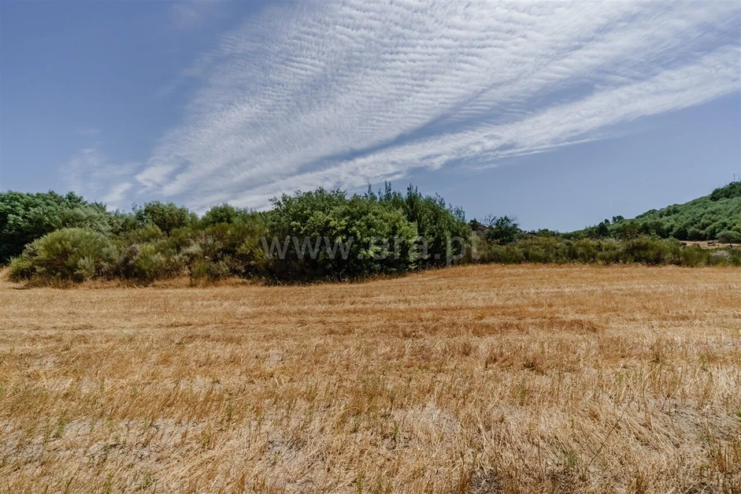 Terreno para Venda em Inguias Foto 15