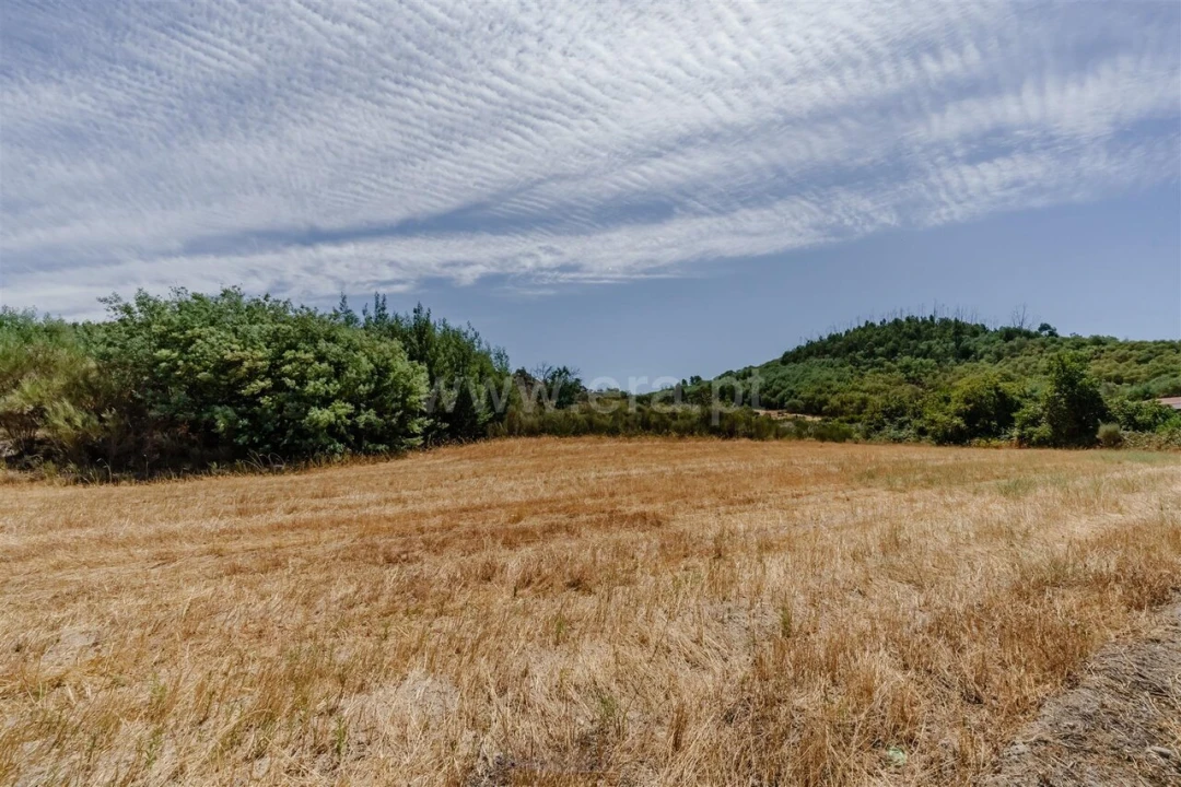 Terreno para Venda em Inguias Foto 16