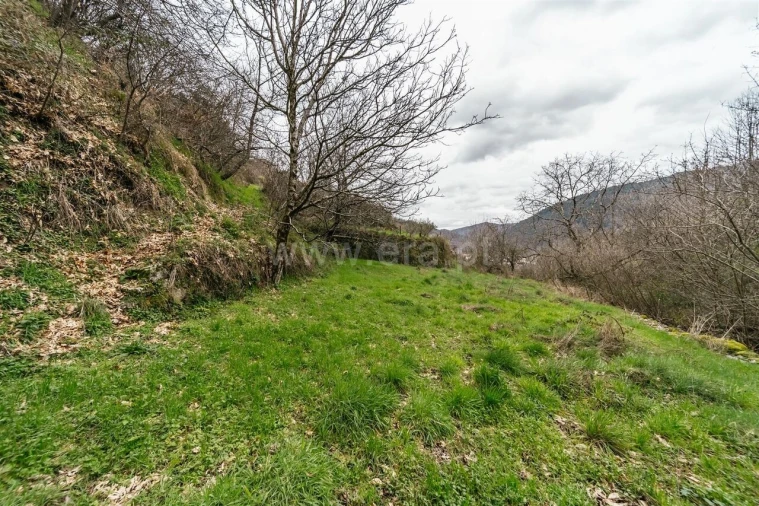 Moradia T4 para Venda em Manteigas (Santa Maria) Foto 17