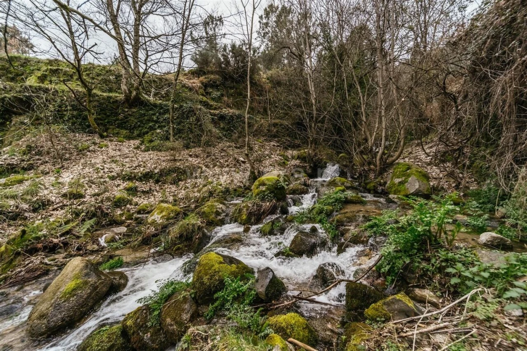 Moradia T4 para Venda em Manteigas (Santa Maria) Foto 19