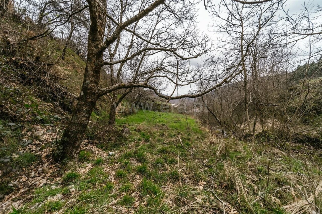 Moradia T4 para Venda em Manteigas (Santa Maria) Foto 20