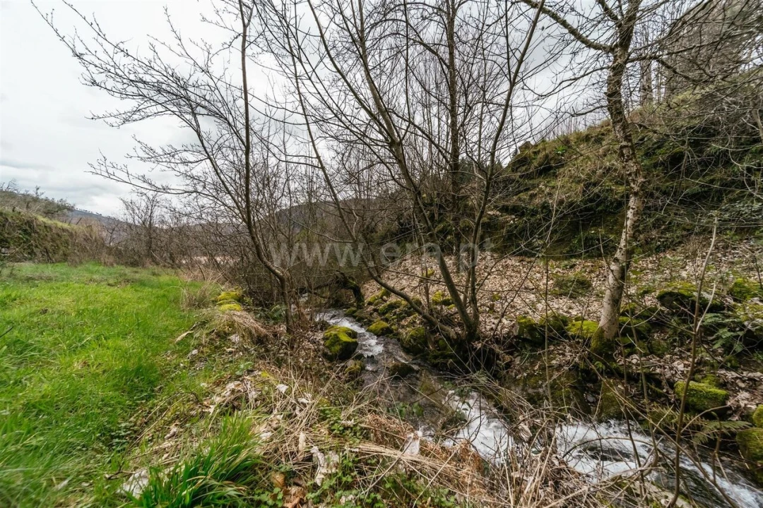 Moradia T4 para Venda em Manteigas (Santa Maria) Foto 18