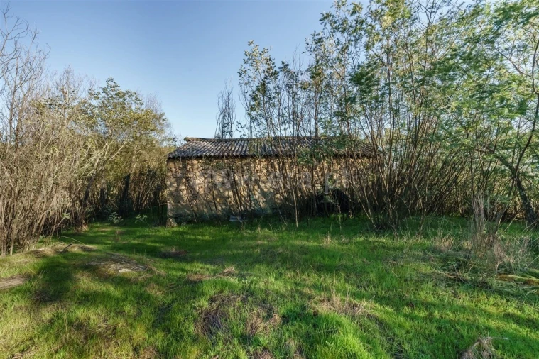 Quinta T0 para Venda em Orjais Foto 4