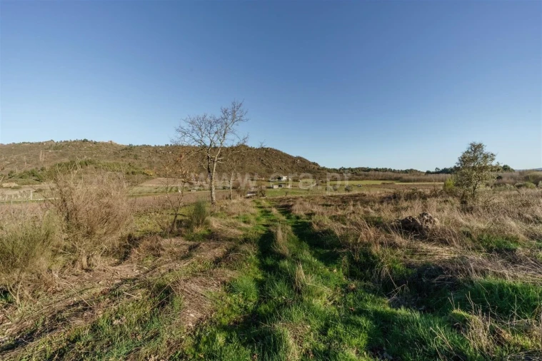 Quinta T0 para Venda em Orjais Foto 5