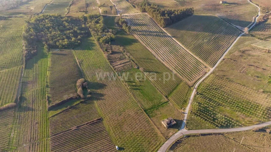 Quinta T0 para Venda em Orjais Foto 18