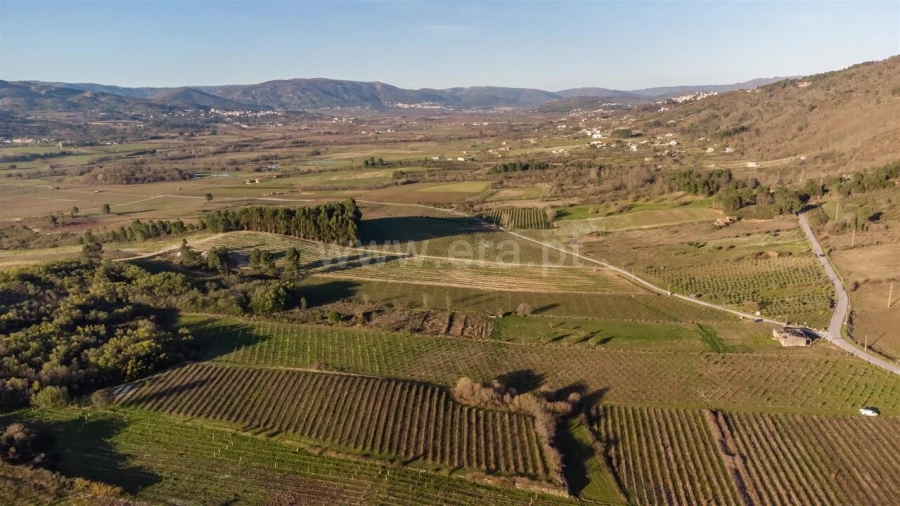 Quinta T0 para Venda em Orjais Foto 20