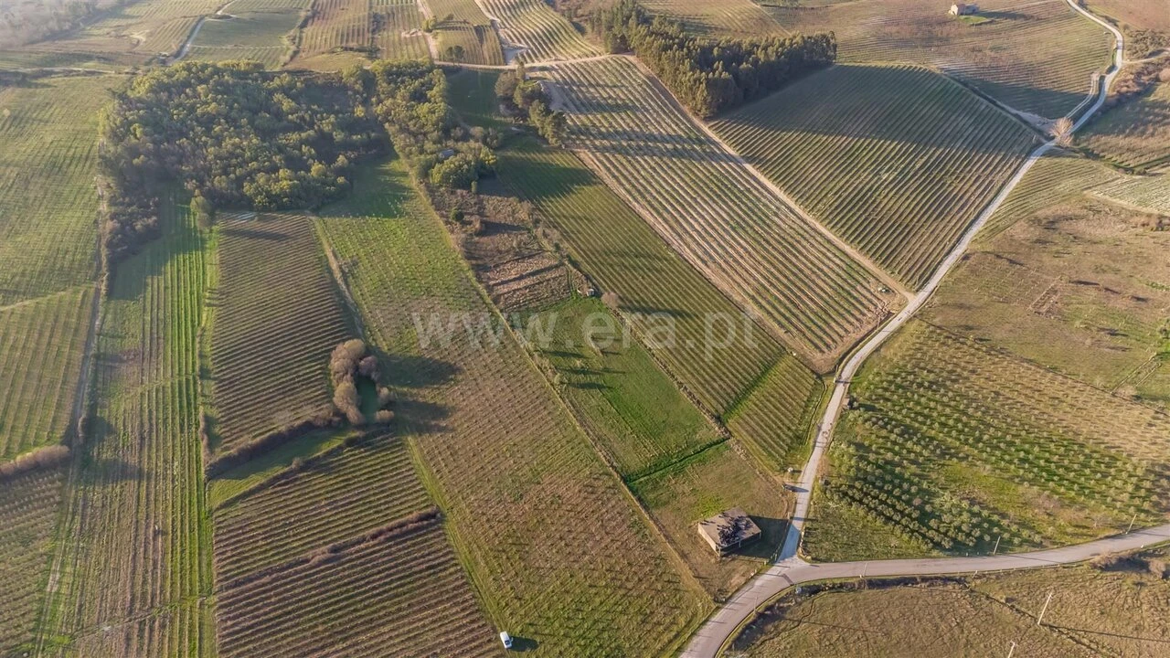 Quinta T0 para Venda em Orjais Foto 18