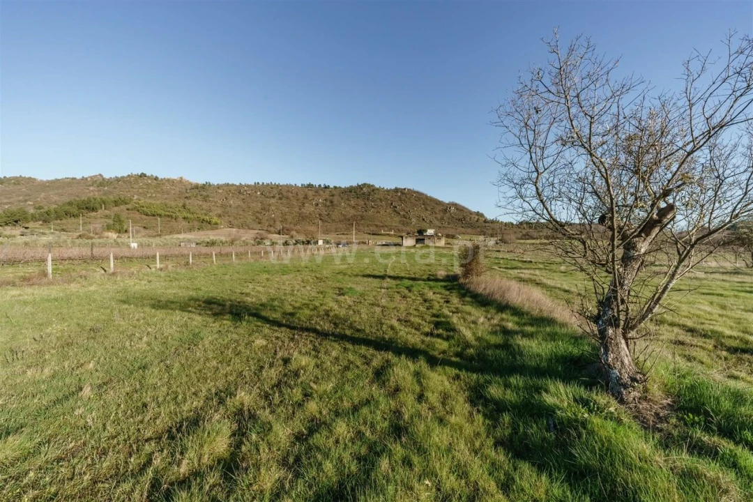 Quinta T0 para Venda em Orjais Foto 9