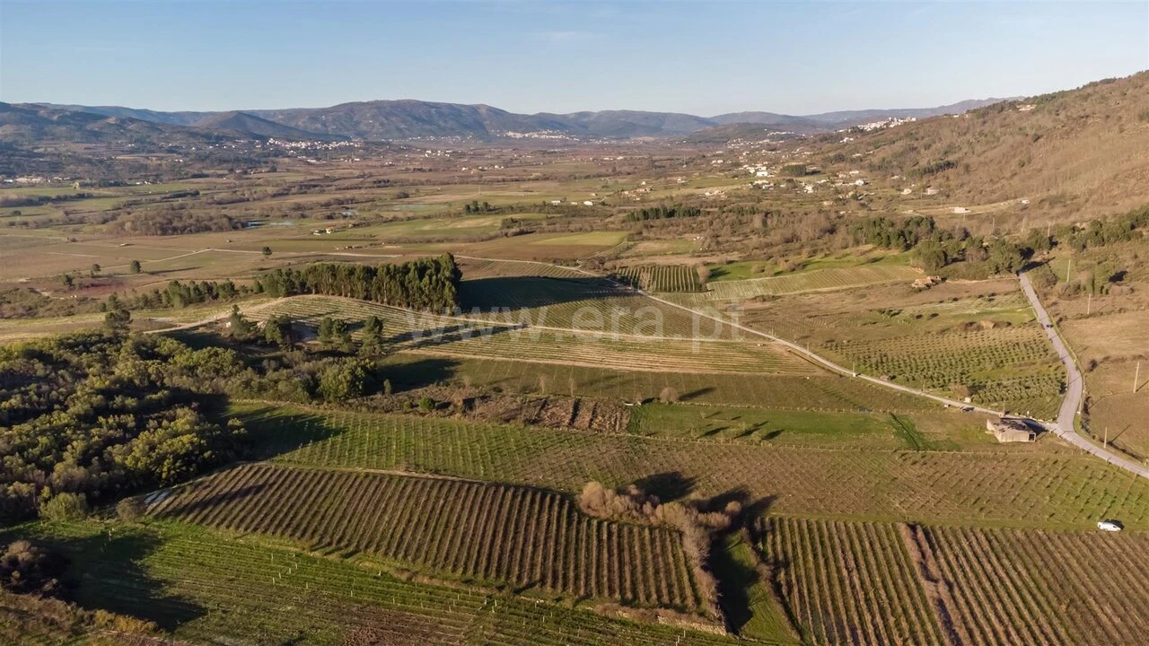 Quinta T0 para Venda em Orjais Foto 20