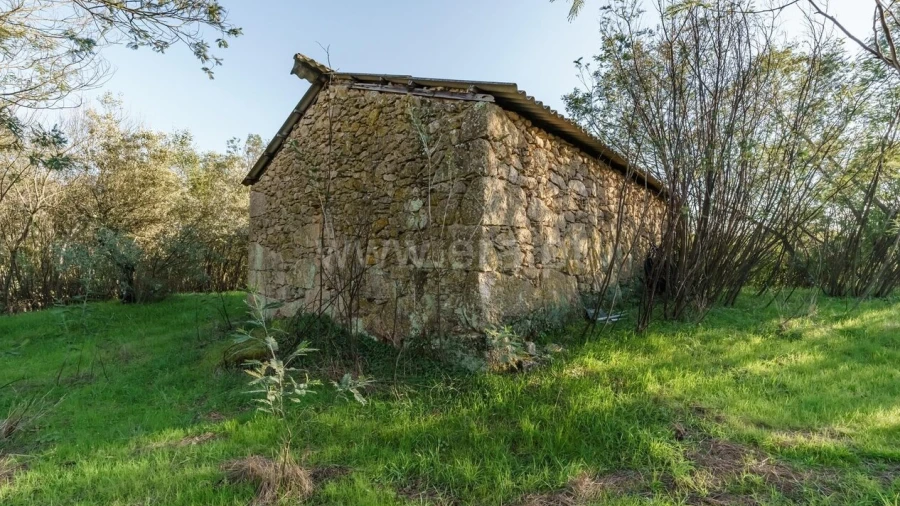 Quinta T0 para Venda em Orjais