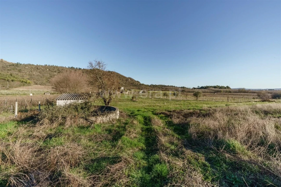 Quinta T0 para Venda em Orjais Foto 7