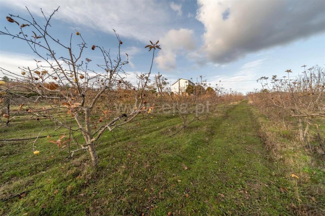 Quinta T5 para Venda em Vela Foto 16
