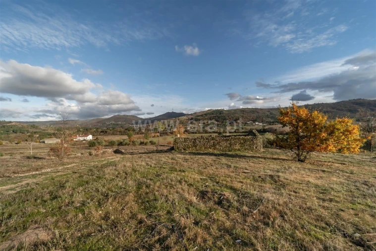 Quinta T5 para Venda em Vela Foto 14