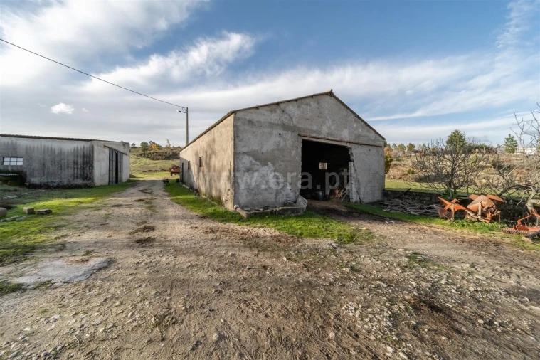 Quinta T5 para Venda em Vela Foto 7