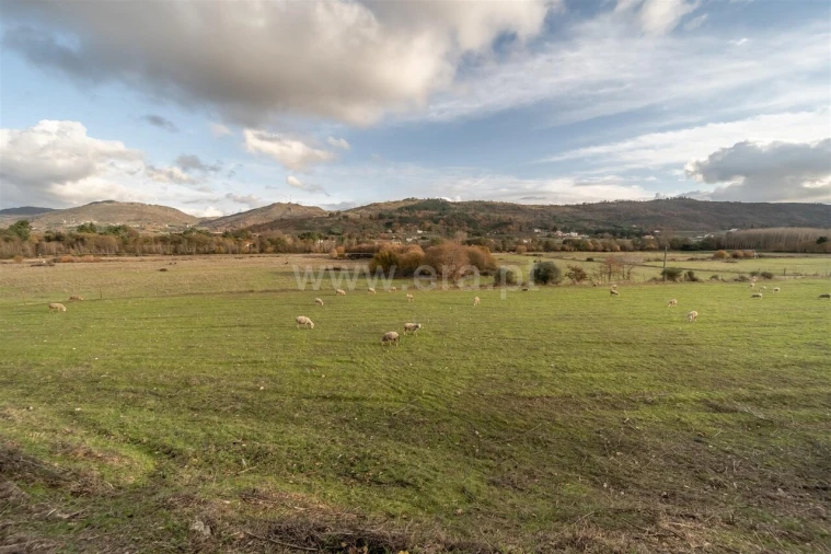 Quinta T5 para Venda em Vela Foto 17