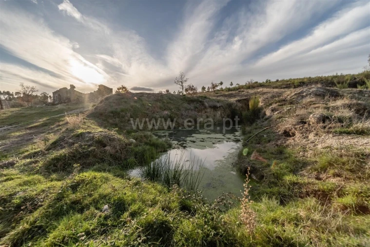 Quinta T5 para Venda em Vela Foto 12