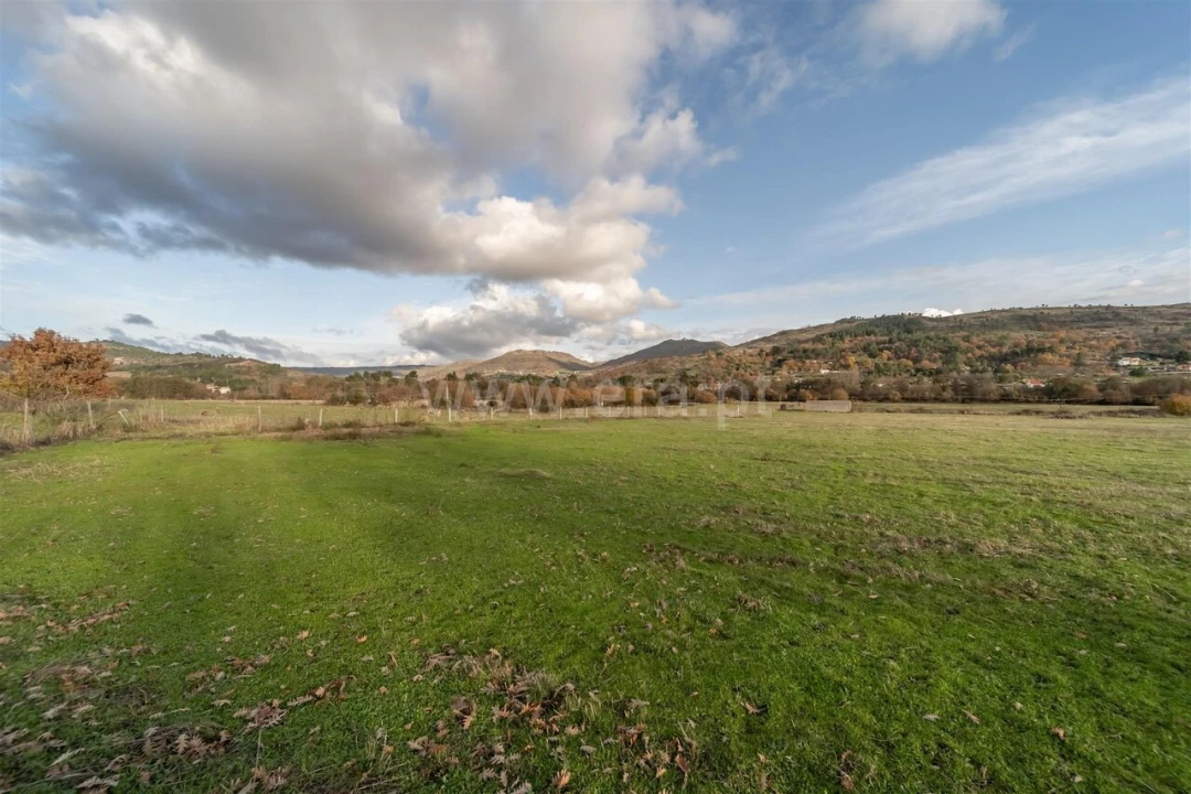 Quinta T5 para Venda em Vela Foto 15