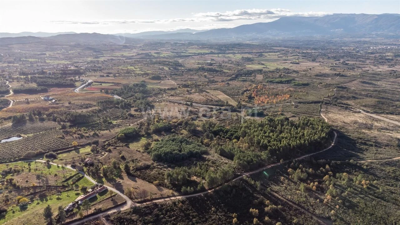 Quinta T0 para Venda em Caria Foto 10