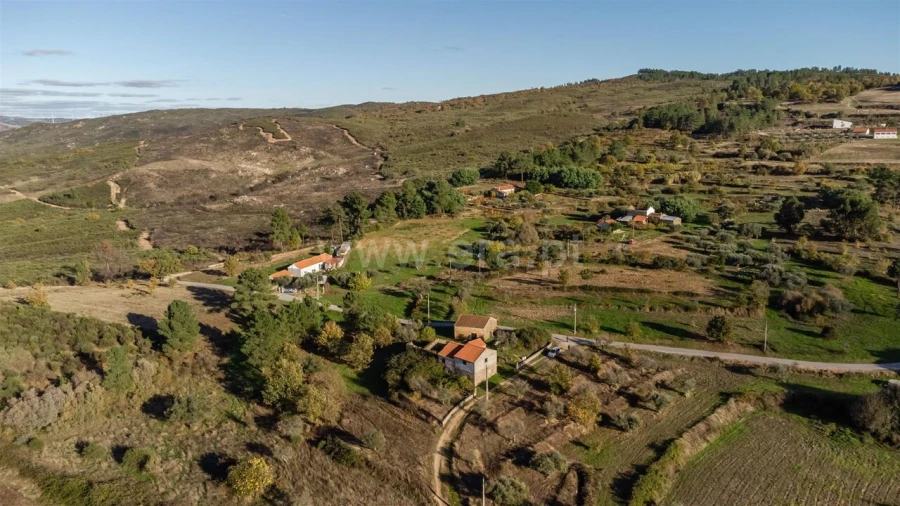 Quinta T0 para Venda em Caria Foto 7