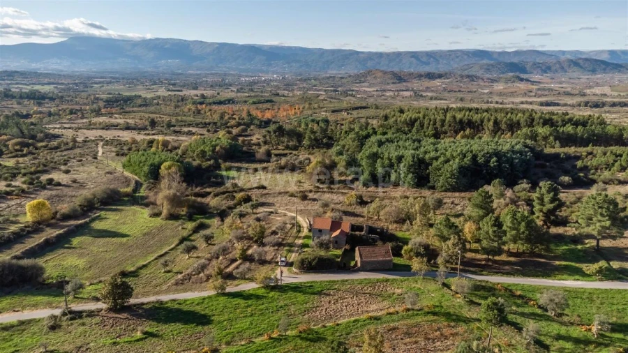 Quinta T0 para Venda em Caria Foto 1