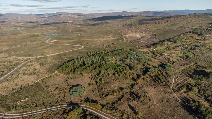 Quinta T0 para Venda em Caria Foto 14