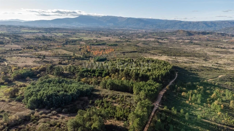 Quinta T0 para Venda em Caria Foto 9