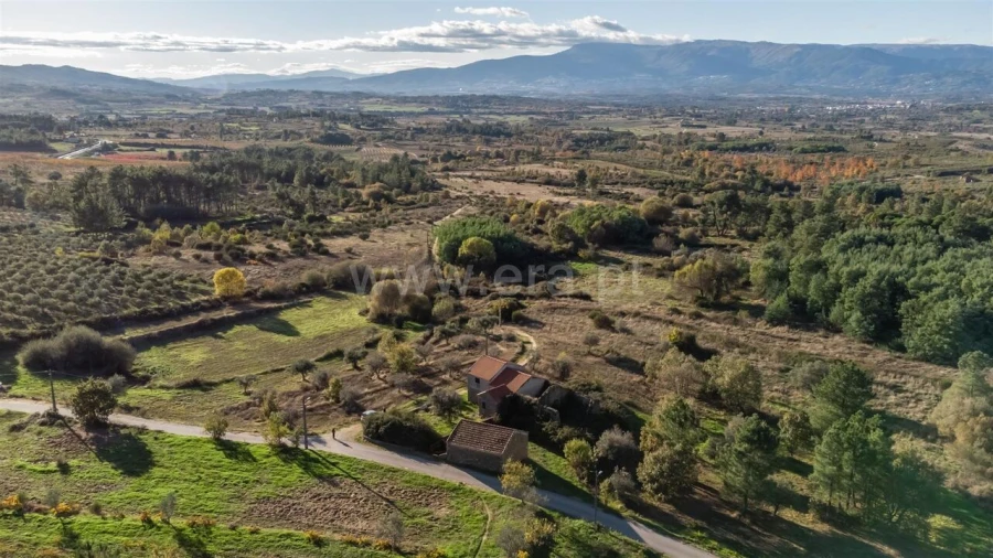 Quinta T0 para Venda em Caria Foto 5