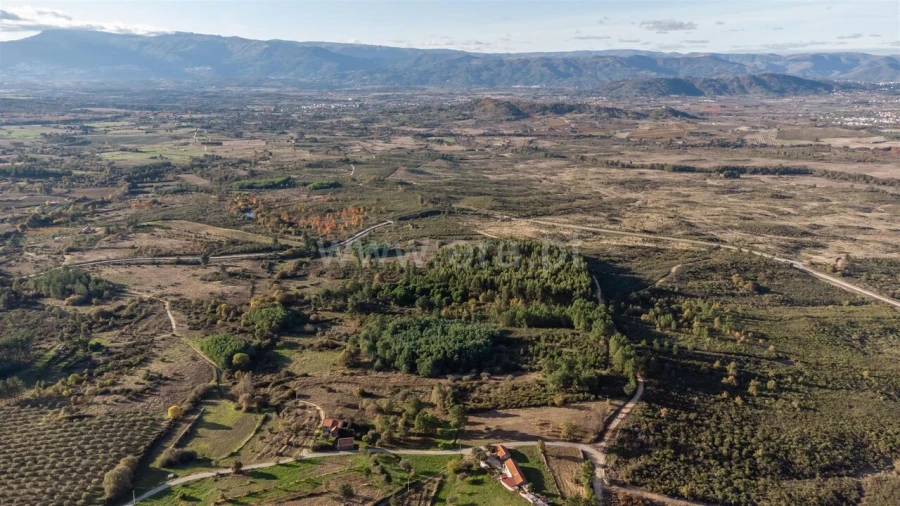 Quinta T0 para Venda em Caria Foto 11