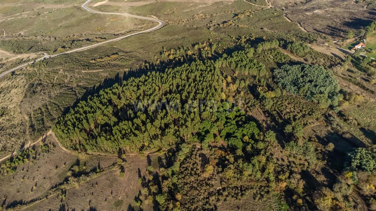 Quinta T0 para Venda em Caria Foto 16