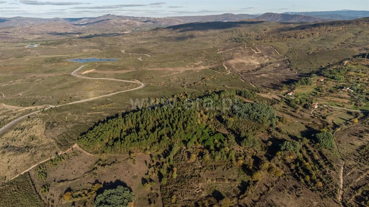 Quinta T0 para Venda em Caria Foto 15