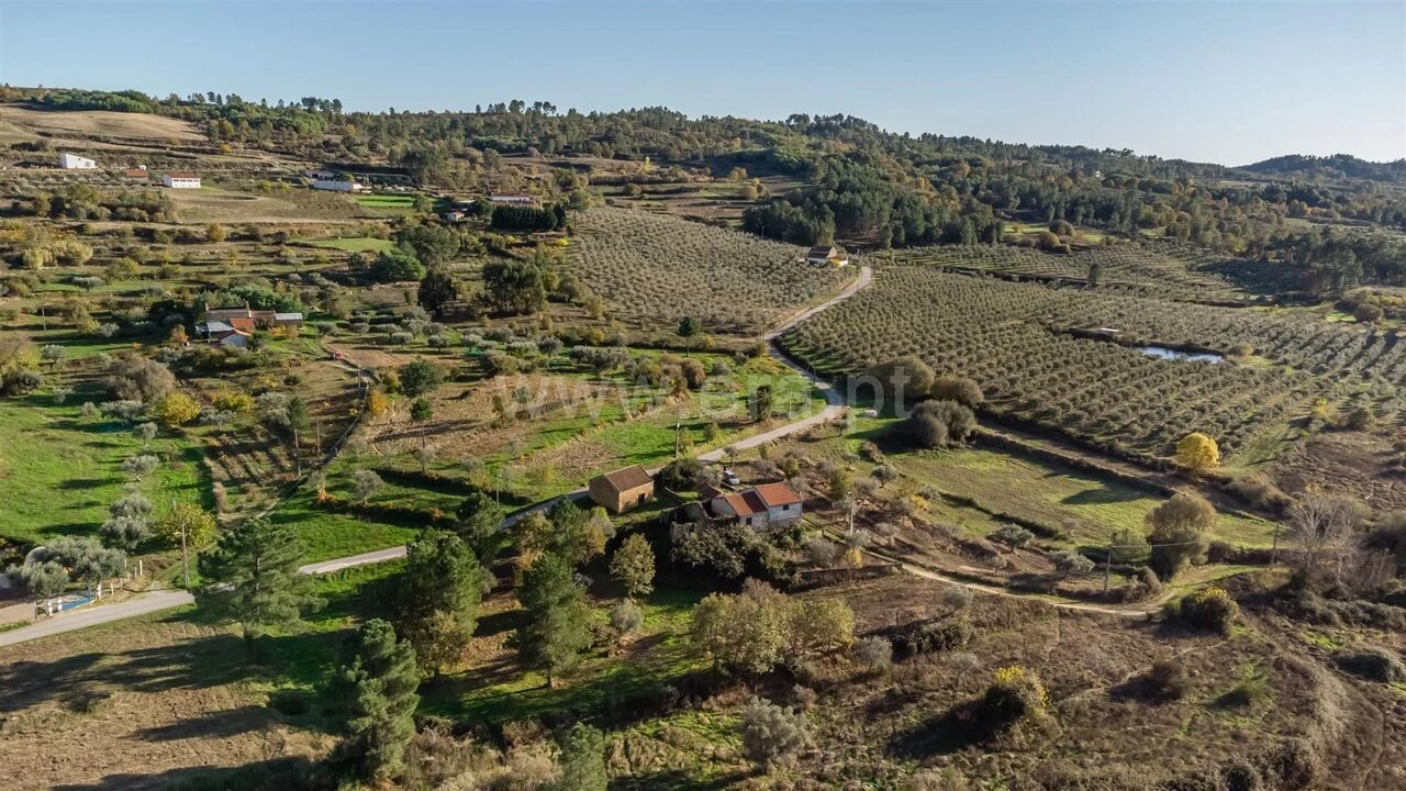 Quinta T0 para Venda em Caria Foto 8