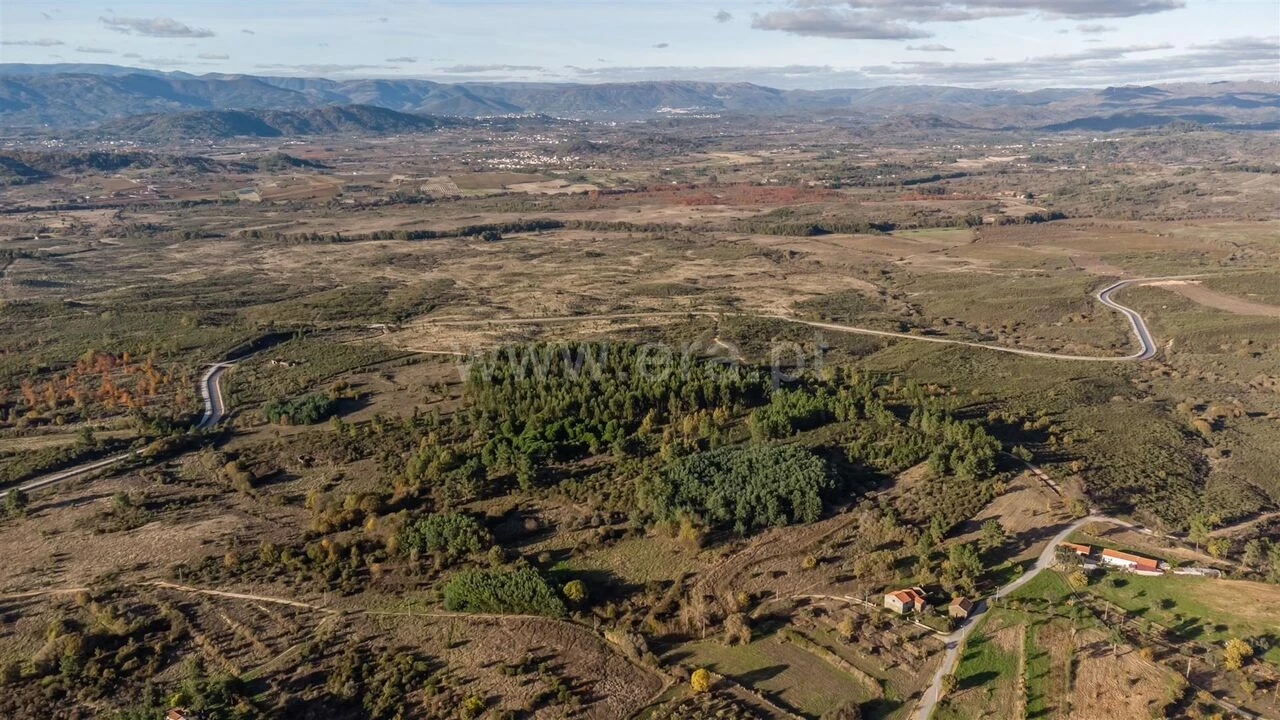 Quinta T0 para Venda em Caria Foto 12